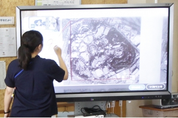 千葉県野田市立みずき小学校